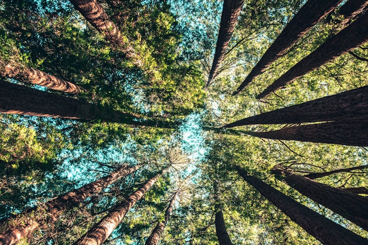 Unlock Growth Opportunities